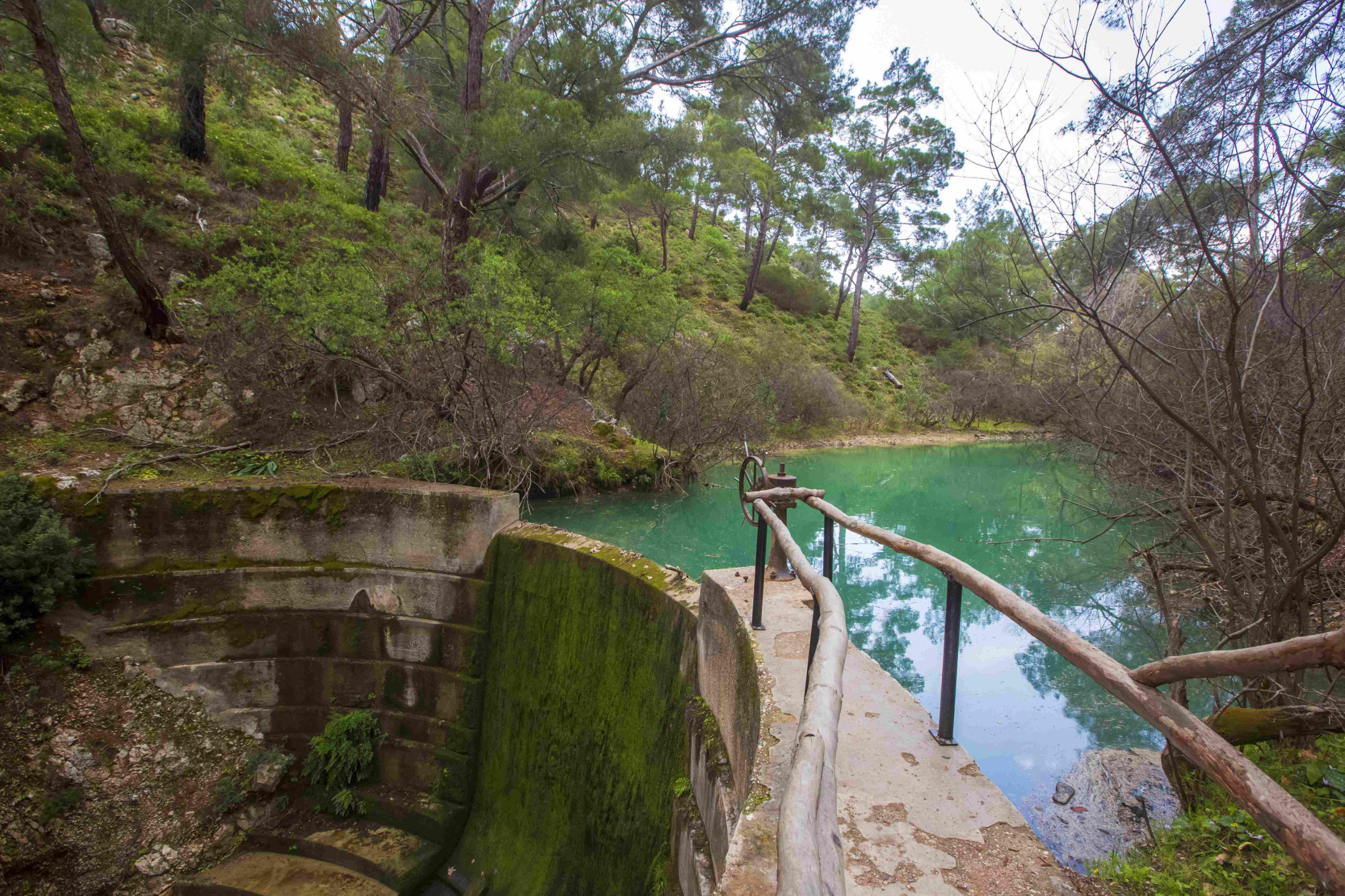 seven-springs
